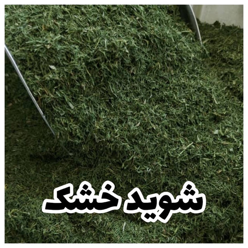 شوید خشک شستهشده و پاکشده طبس، بسته فله ۱ کیلویی، سبزی خوشعطر