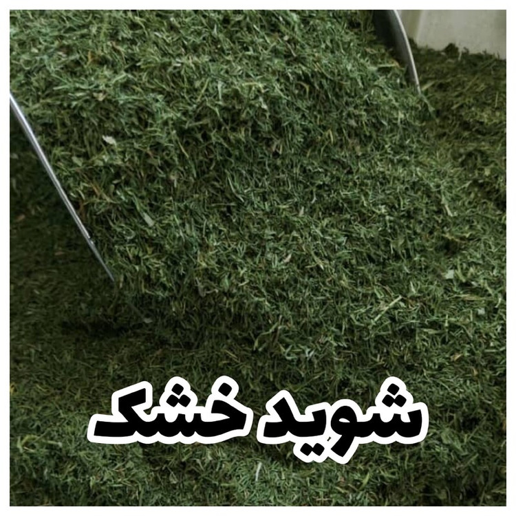 شوید خشک شستهشده و پاکشده طبس، بسته فله ۱ کیلویی، سبزی خوشعطر